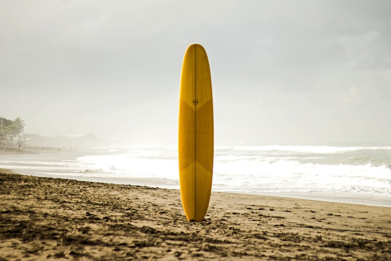 Board
